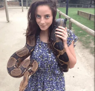 🦋 d0182435 Schlange, Mädchen, Tier, Reptil, Boa, Frau, Haustier telegram sticker