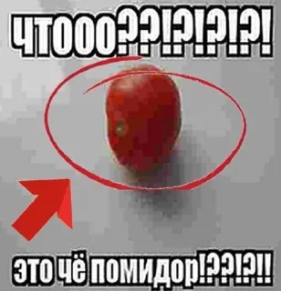 😍 2c554288 ЧТООО??!?!?!!
это чё помидор!??!?! tomate, pregunta, ruso, comida, verdura telegram sticker
