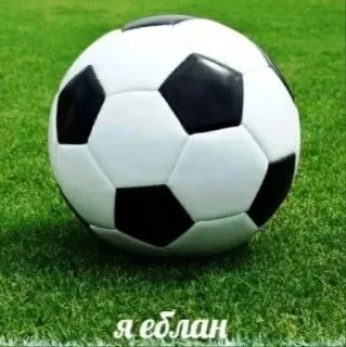 😍 8772e6bb Я еблан fútbol, balón, ruso, ofensivo telegram sticker
