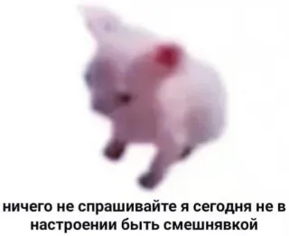 Больше стиков тут: @stikery4 telegram stickers