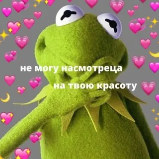 ❤️ 5f699dc4 Kermit the Frog не могу насмотреца на твою красоту kermit, frog, hearts, love, russian, meme, cute telegram sticker