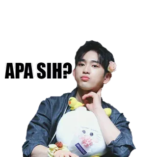😣 29ac59b4 APA SIH? k-pop, uitdrukking, idool, man, schattig, bloem, pose telegram sticker