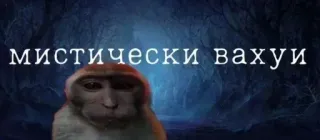 🙀 286f0e28 МИСТИЧЕСКИ ВАХУИ małpa, jaskinia, mistyczny, tekst telegram sticker