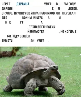 Больше стиков тут: @stikery4 whatsapp stickers