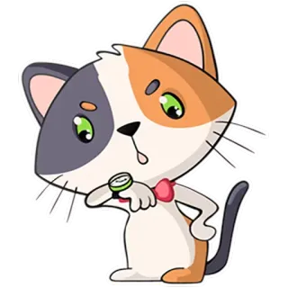 🕑 70c94023 gato, esperando, mirar, calicó, animal, pegatina telegram sticker