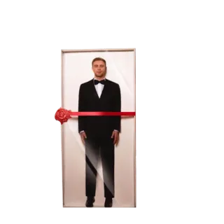 🎁 c66426c6 telegram sticker