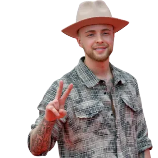 😄 365f5c7e мужчина, шляпа, знак мира, фланель, улыбающийся, человек whatsapp sticker