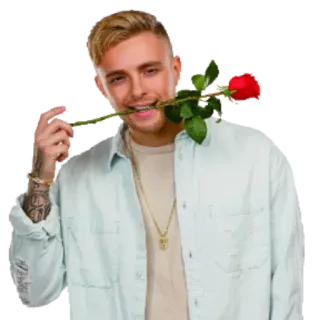 😶 6469455a мужчина, роза, красавчик, знаменитость, мужской, человек whatsapp sticker