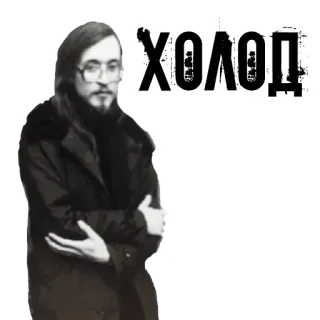 🥶 240cb59a ХОЛОД homme, froid, manteau, lunettes, russe telegram sticker