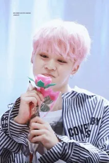 🕸 64d3e948 Jungkook Rose colored hair with sunshine Jungkook kpop, idol, rambut pink, mawar, bunga, asia telegram sticker