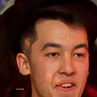 😏 1def0b3b СУЧКА telegram sticker