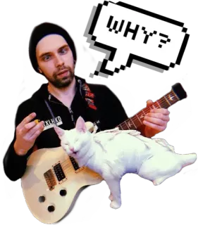❓ 46759e8d WHY? 고양이, 기타, 음악가, 질문, 밈 telegram sticker