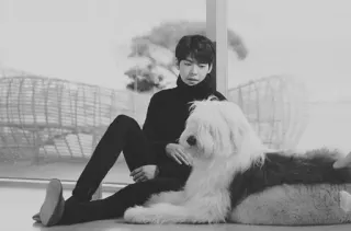 ➿ 3fd1bc85 whatsapp sticker