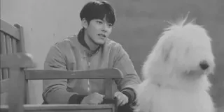 ➿ 58eca3db whatsapp sticker