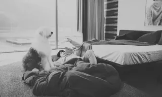 ᴇɪʀᴀs ʙᴀᴅᴊᴇɴs• [ @maestickers] telegram stickers