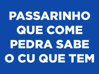 🐦 2212f102 PASSARINHO
QUE COME
PEDRA SABE
O CU QUE TEM 鸟, 石头, 冒犯 telegram sticker