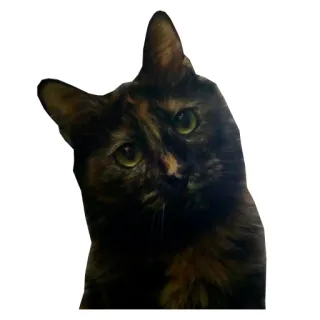 😏 82d9551c แมว, สัตว์เลี้ยง, สัตว์, บ้าน, ลายกระ telegram sticker