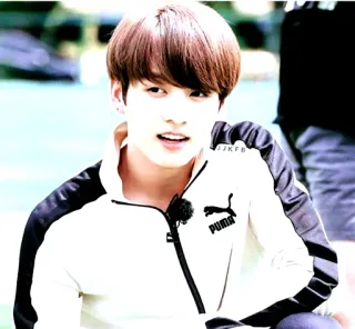 ⛓ 8a66e24f 人物, 男人, 韩流, 彪马, 夹克, 名人 telegram sticker