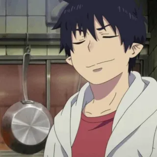 ☁️ 2789e288 Rin Okumura Blue Exorcist 애니메이션, 청의 엑소시스트, 오쿠무라 린, 주방, 요리 telegram sticker