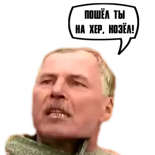 😤 fc065b6e ПОШЁЛ ТЫ НА ХЕР, КОЗЁЛ! ロシア語, 攻撃的, 侮辱, ミーム, 怒り, 悪態 telegram sticker