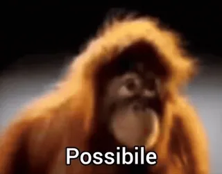 🦧 154f0655 Possibile khỉ, đười ươi, meme, động vật telegram sticker