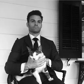 ⚜ 25a22479 Mann, Katze, Anzug, Krawatte, Porträt, Schwarzweiß whatsapp sticker