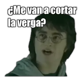 😰 6572c617 Harry Potter ¿Me van a cortar la verga? harry potter, meme, funny, question telegram sticker