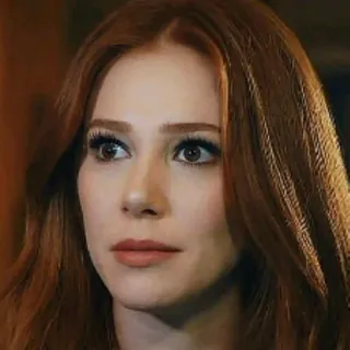 😐 2aec4b66 mulher, retrato, ruiva, rosto, beleza whatsapp sticker