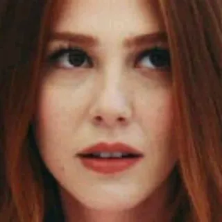 🤨 9945504c whatsapp sticker