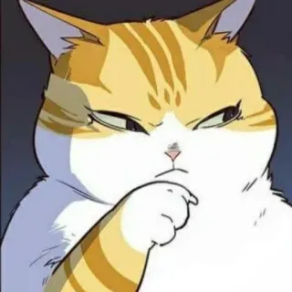 🧐 b46c2b30 cat, angry, meme, funny, pet, animal telegram sticker