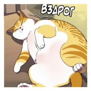😴 62cf1b10 Вздог แมว, สัตว์, ง่วง, การ์ตูน, สีส้ม, ผ่อนคลาย telegram sticker