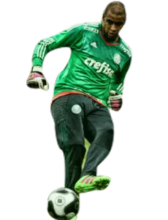 👤 8a109e96 futebol, futebol, goleiro, atleta, esporte, Palmeiras, jogador de futebol telegram sticker