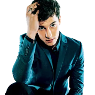 🤓 66fab7b5 Shawn Mendes piosenkarz, gwiazda, muzyk, pop, mężczyzna, portret telegram sticker