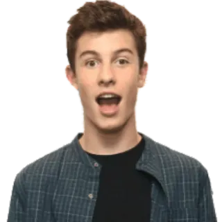 😲 6b4576b4 Shawn Mendes piosenkarz, celebryta, gwiazda pop, portret, młody dorosły, Shawn Mendes telegram sticker