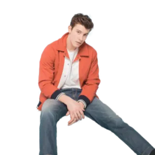 🙄 fd98dd5d Shawn Mendes shawn mendes, piosenkarz, celebryta, muzyka, pop, przystojny telegram sticker