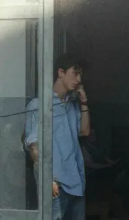 🍃 6bcd1a75 telegram sticker