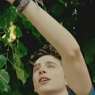 {•Beautiful Boy} telegram stickers