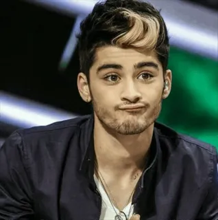 🤔 6d0fd89e Zayn Malik cantor, celebridade, retrato, pessoa, músico telegram sticker