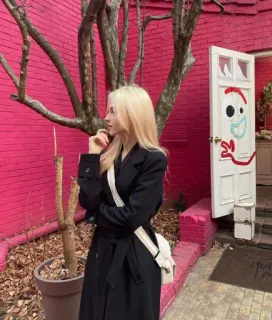 🤔 6684d086 telegram sticker