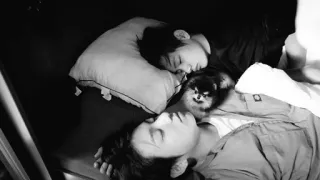 👨‍❤️‍👨 c284f59f schlafend, Person, Hund, süß telegram sticker