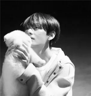 🤗 fb60e88c Mann, Hund, Porträt, Schwarzweiß, Person, süß telegram sticker