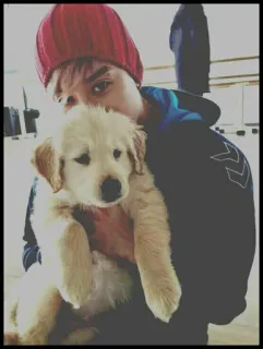 ᴇʟɪ [ @llkevinll ] telegram stickers