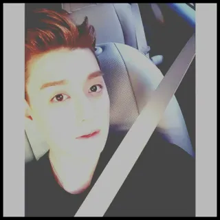 🃏 cd3f1271 telegram sticker