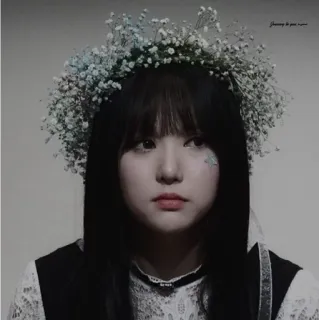 🌿 316b2216 Shining to your room potret, wanita, gadis, mahkota bunga, kecantikan, korea whatsapp sticker