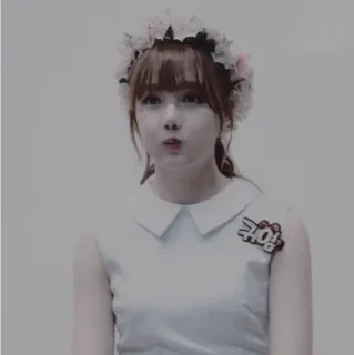 🌿 b4cb18bb 40! mahkota bunga, wanita, stiker, kpop whatsapp sticker