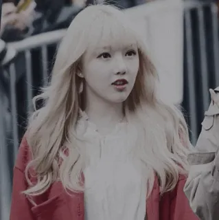 🌺 e6f1f8ef whatsapp sticker