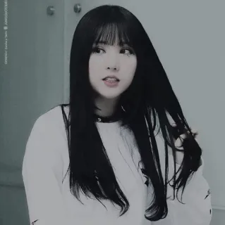 🌺 f8252049 wanita, gadis, rambut, potret, orang, rambut hitam, asia whatsapp sticker