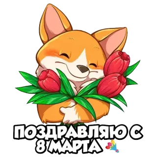 💐 0a9c0d80 ПОЗДРАВЛЯЮ С 8 МАРТА chó, corgi, hoa, hoa tulip, lời chào, 8 tháng 3, Quốc tế Phụ nữ telegram sticker
