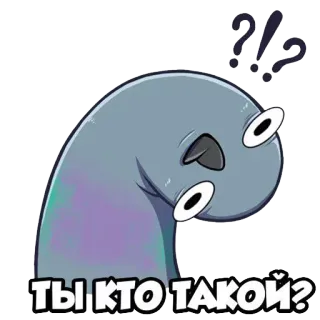 👀 92d981fe ТЫ КТО ТАКОЙ? bồ câu, câu hỏi, hài hước, động vật, chim, bối rối telegram sticker