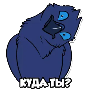 👀 b9995824 КУДА ТЫ? chim, hoạt hình, nga, bạn đi đâu, câu hỏi telegram sticker